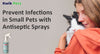 Prevent Infections in Small Pets with Antiseptic Sprays