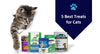 5 Best Treats for Cats in 2024