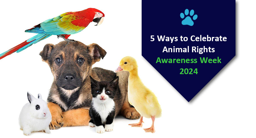 5 Ways to Celebrate Animal Rights Awareness Week 2024