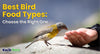 Different Bird Food Types: Which Is Best for Your Bird?