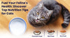 Feline Nutrition 101: A Cat Owner's Guide to Proper Feline Nutrition