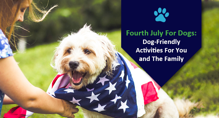 Fourth July For Dogs: Dog-Friendly Activities For You and The Family