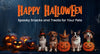 Healthy Halloween Treats for Dogs, Cats, and Birds