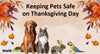 How to Keep Your Pets Safe and Happy During Thanksgiving