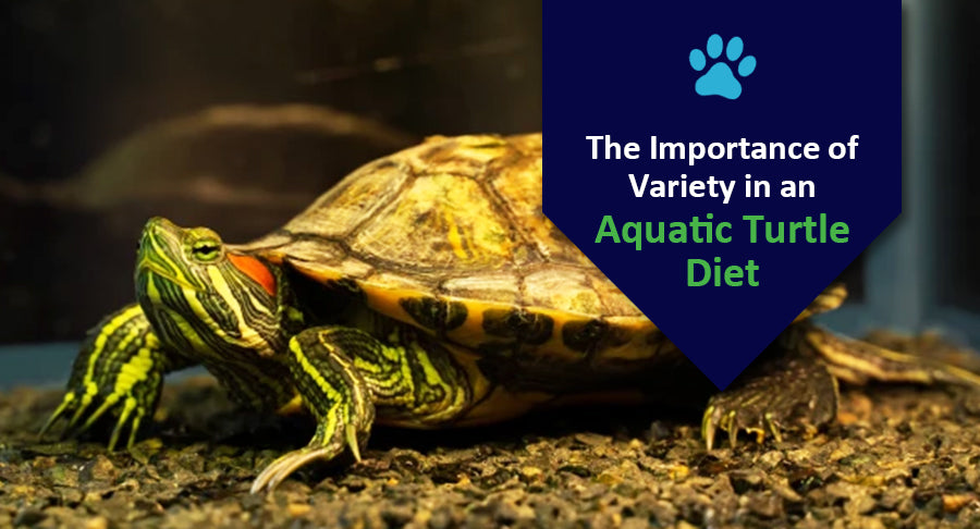 The Importance of Variety in an Aquatic Turtle Diet