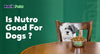 Is Nutro Good For Dogs?