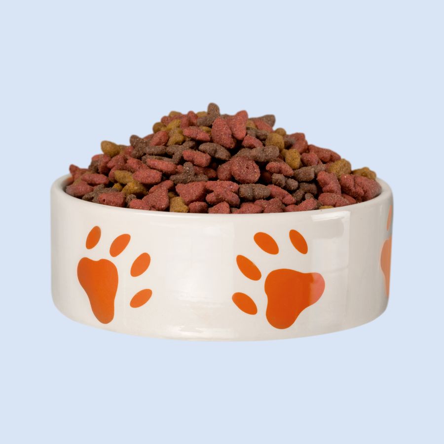 dog dry food