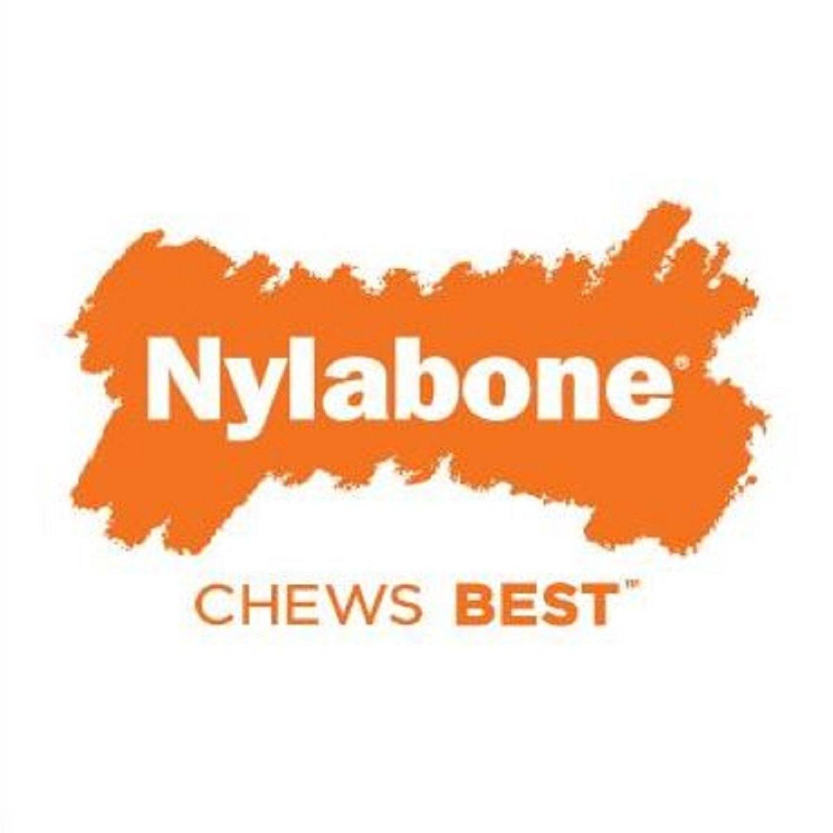 Nylabone