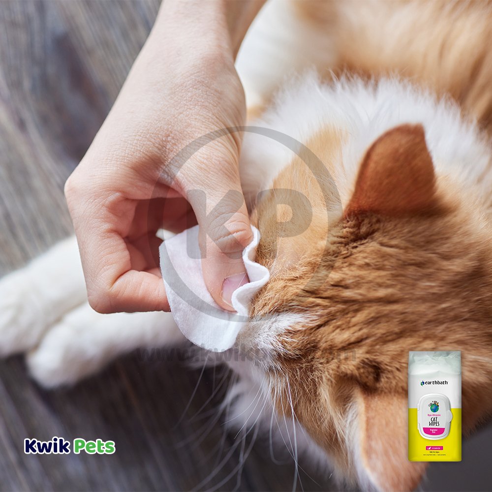 Earthbath Hypo-Allergenic Cat & Kitten Grooming Wipes, Fragrance Free 100 ct, Earthbath