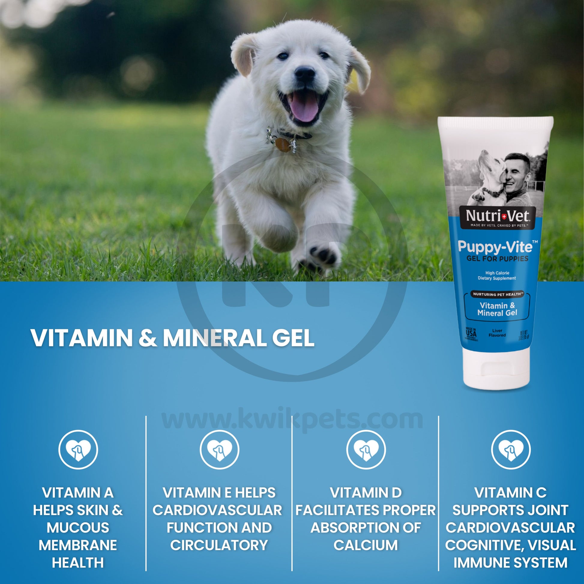 Nutri-Vet Puppy-Vite Gel Supplement Liver, 3 oz, Nutri-Vet