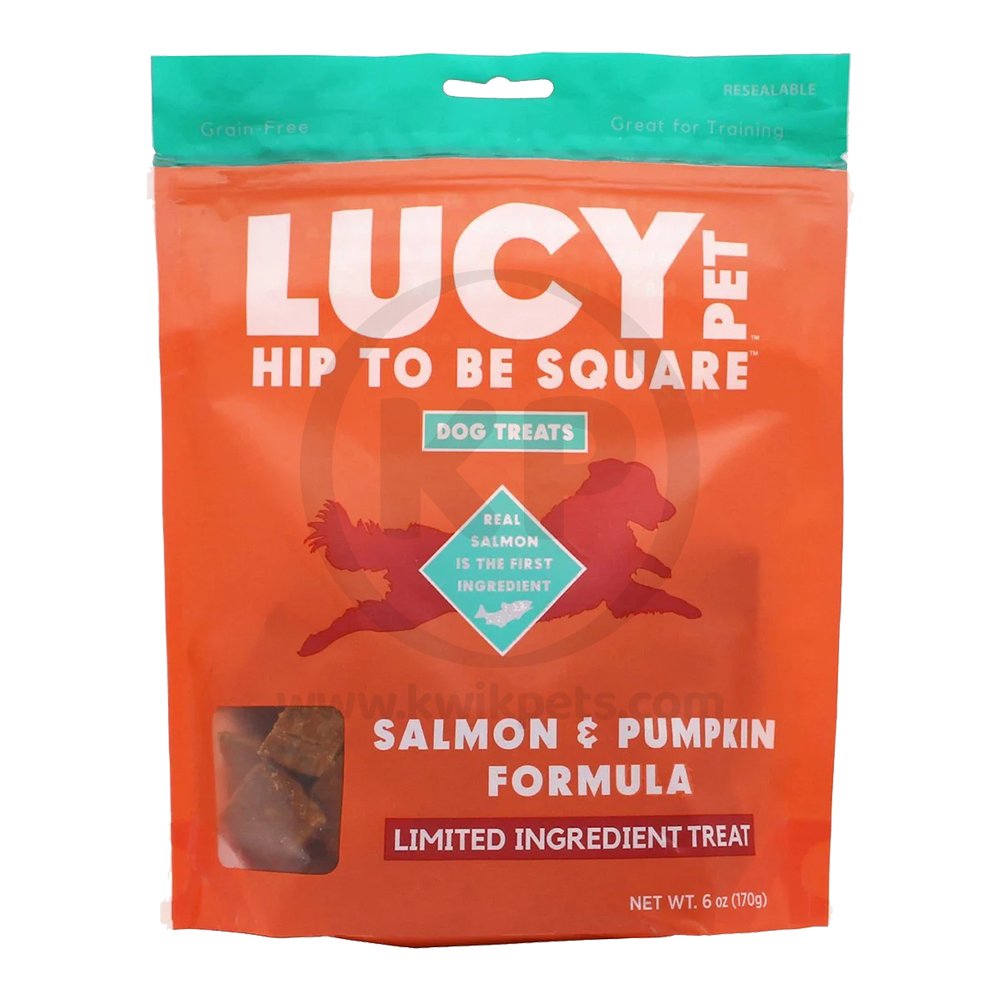 Lucy Pet Products Hip to Be Square Salmon & Pumpkin Dog Treats 6-oz