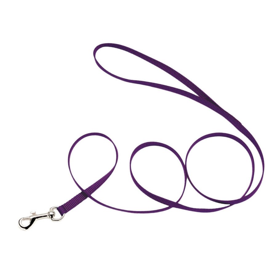 Coastal Single-Ply Nylon Dog Leash Purple, 3/8 in. X 6 ft.