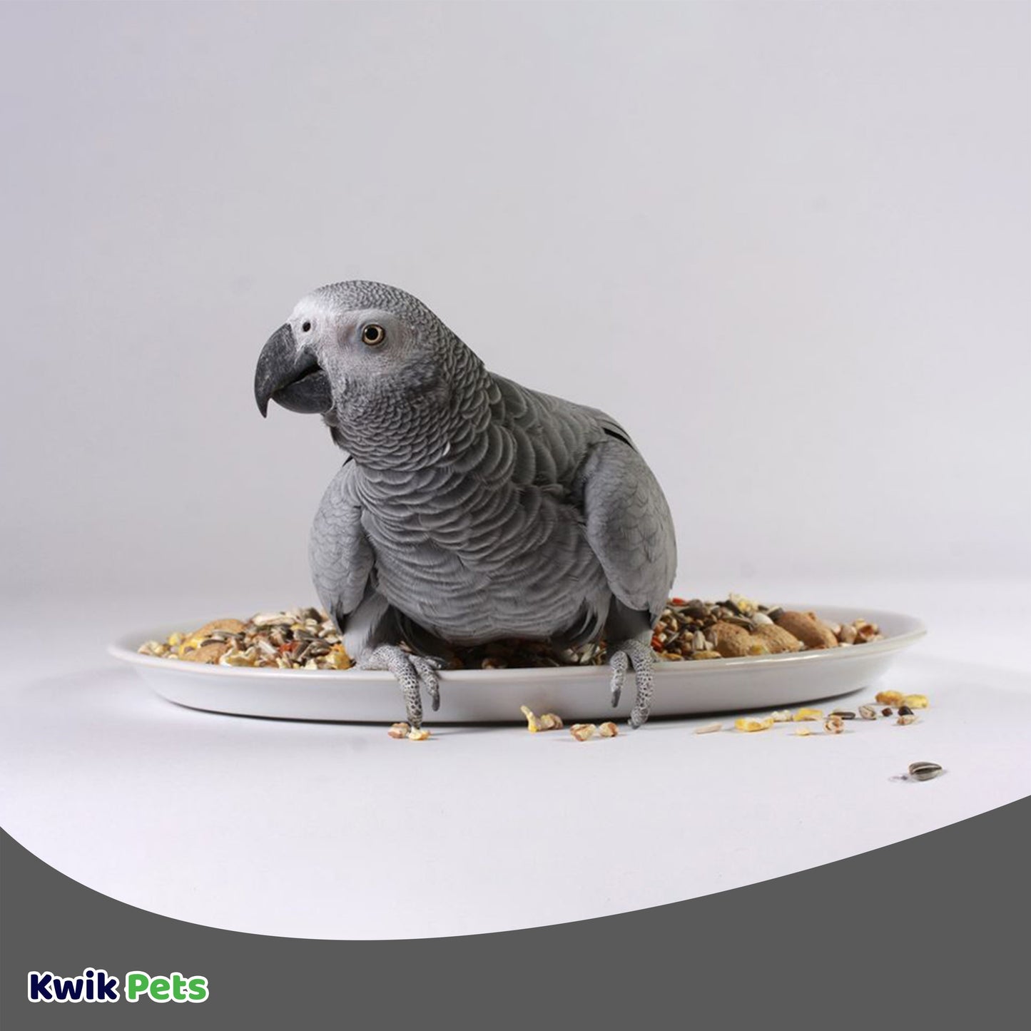 Volkman Seed Avian Science African Grey Parrot 4lb, Volkman