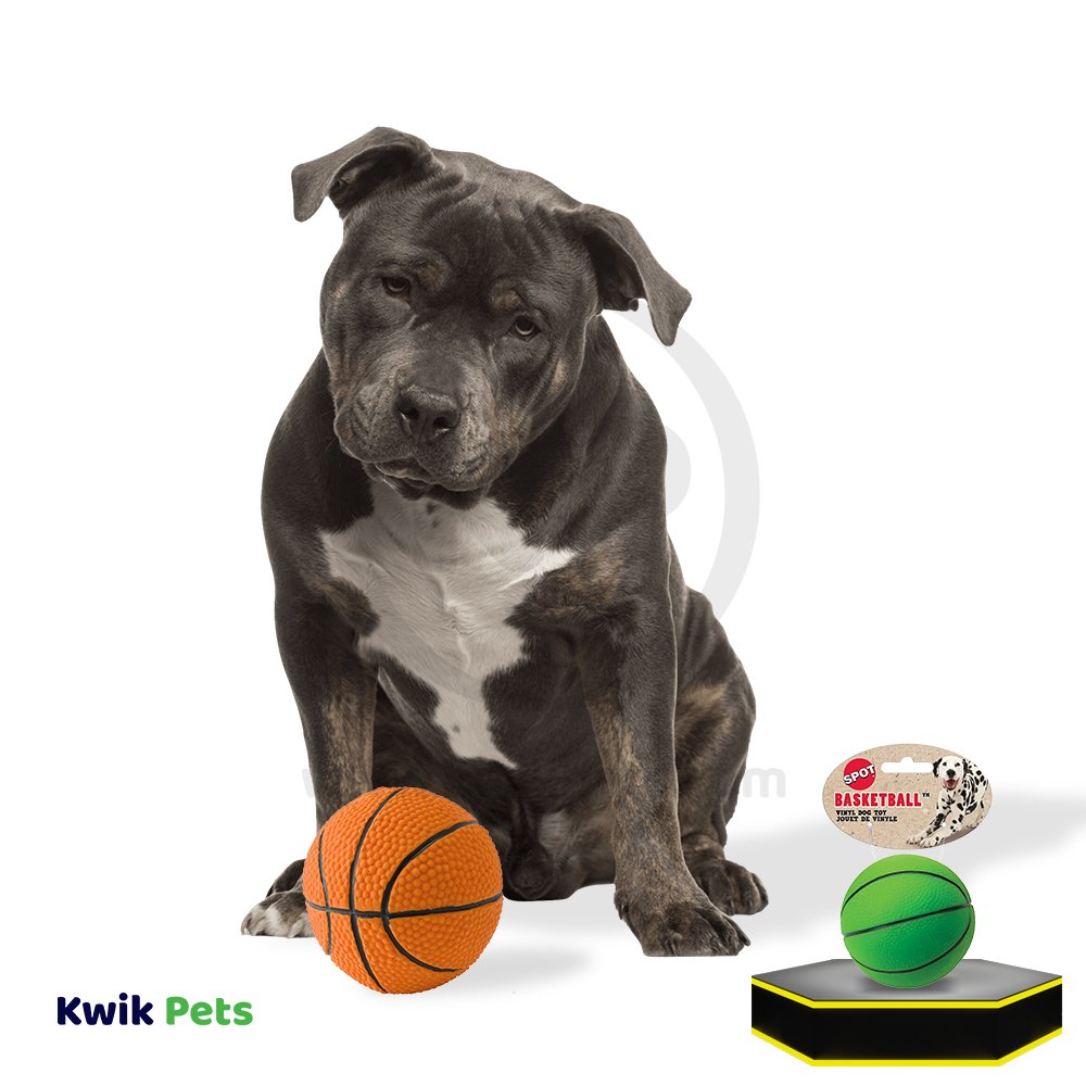 Ethical Products Spot Basketball Assorted 3in, Ethical Pet