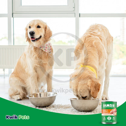 IAMS Proactive Health Paté Adult Wet Dog Food Pate w/Chicken & Rice, 13.2-oz