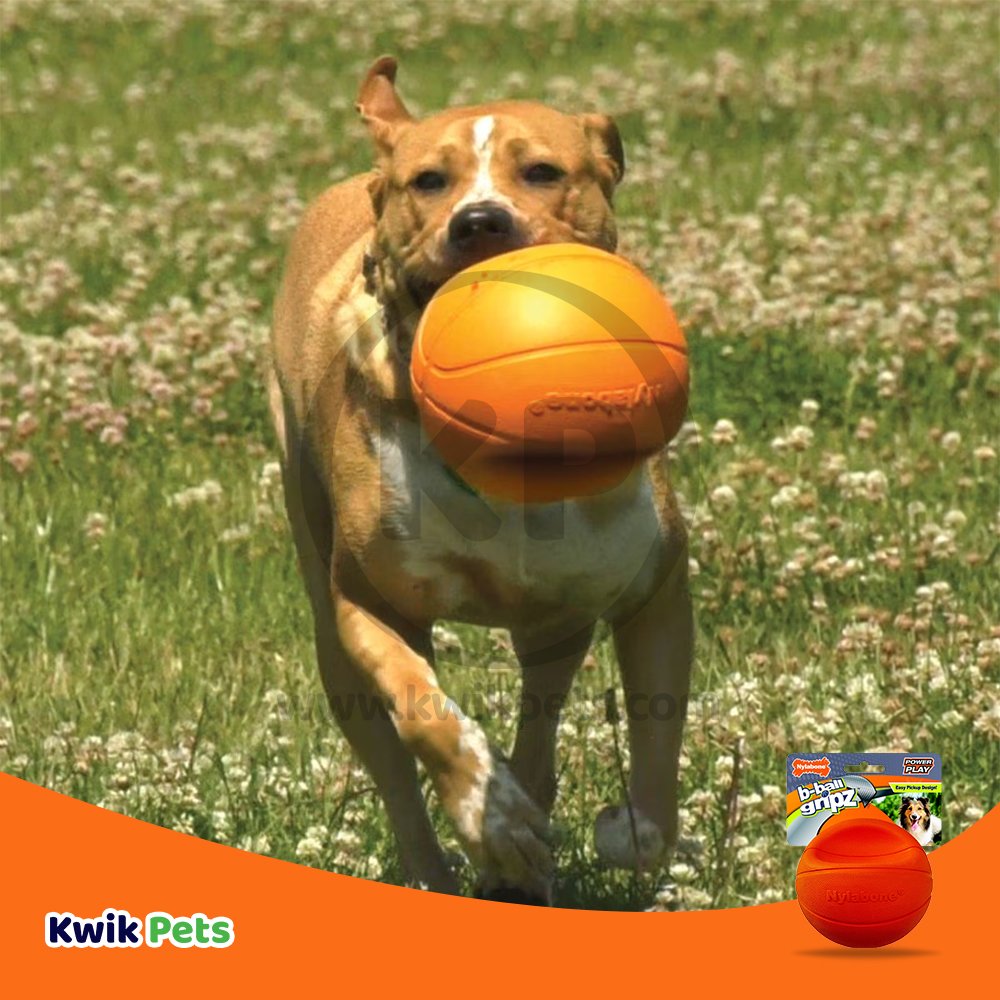 Nylabone Power Play Dog Basketball B-Ball Gripz, Medium/Wolf - Up To 35 lb, Nylabone