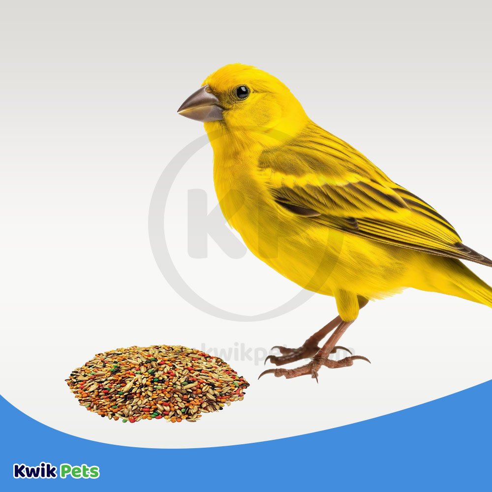 Volkman Seed Featherglow Canary/Finch 2-lb, Volkman
