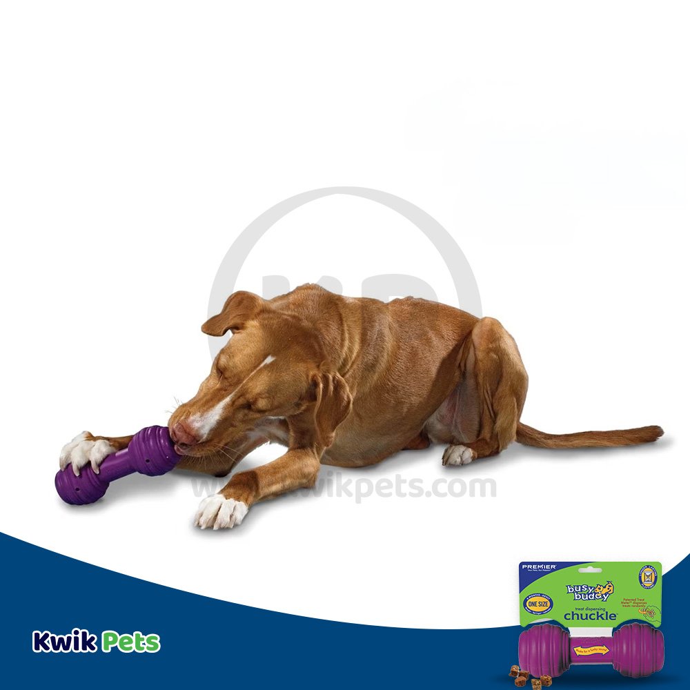 Busy Buddy Chuckle Dog Toy Purple, Medium / Large, Busy Buddy