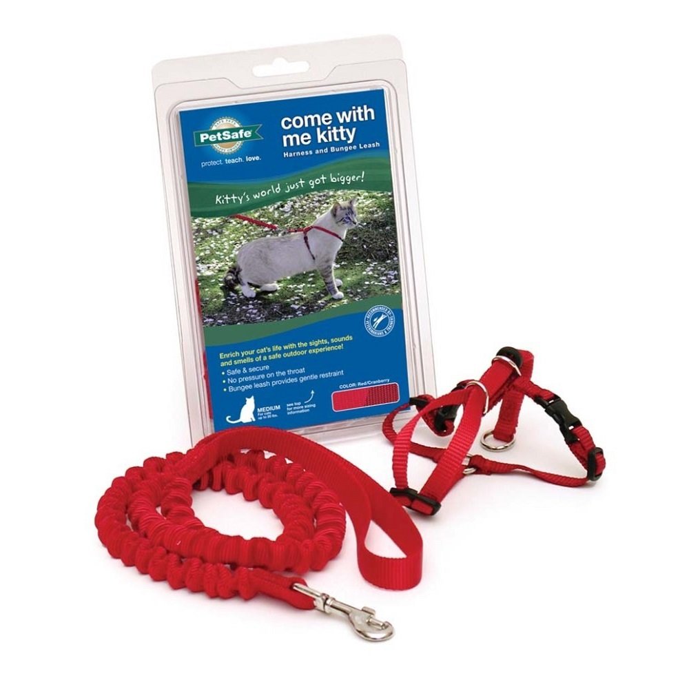 PetSafe Premier Come With Me Kitty Harness & Bungee Leash Combo Red/Cranberry, MD, PetSafe