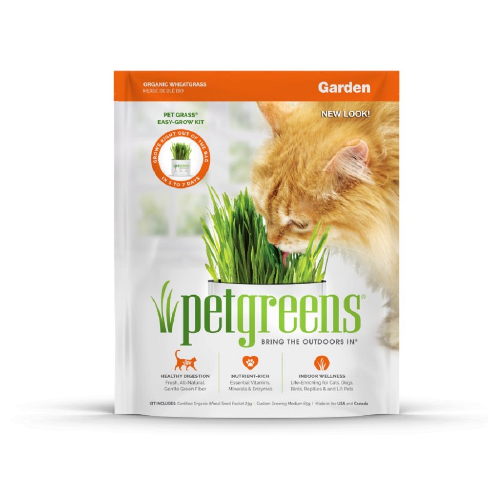 Pet Greens Self Grow Garden Pet Grass, 3 oz, Pet Greens