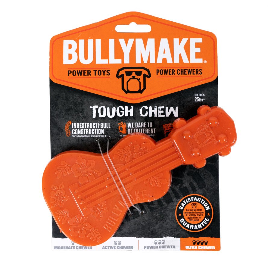 BullyMake Toss n' Treat Flavored Dog Chew Toy Ukelele, Peanut Butter, One Size