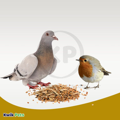 Volkman Seed Company Premium Garden Mix Wild Bird Food 5-lb