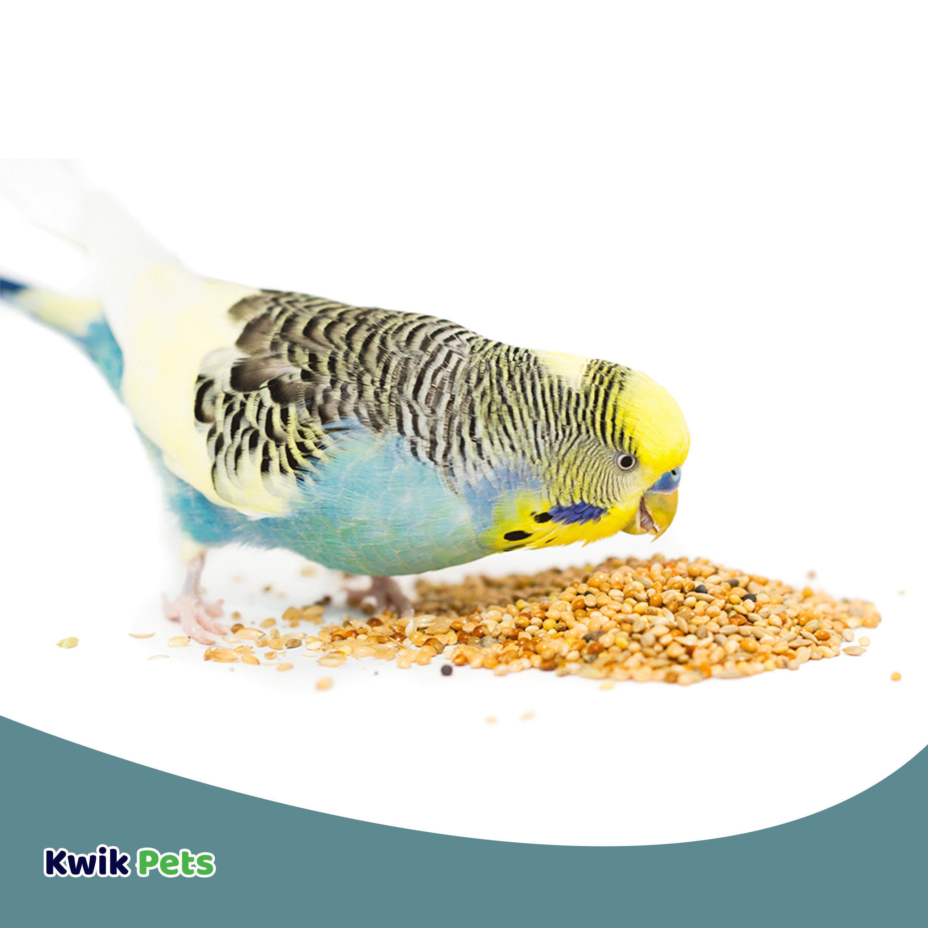 Volkman Seed Avian Science Super Parakeet 4lb, Volkman