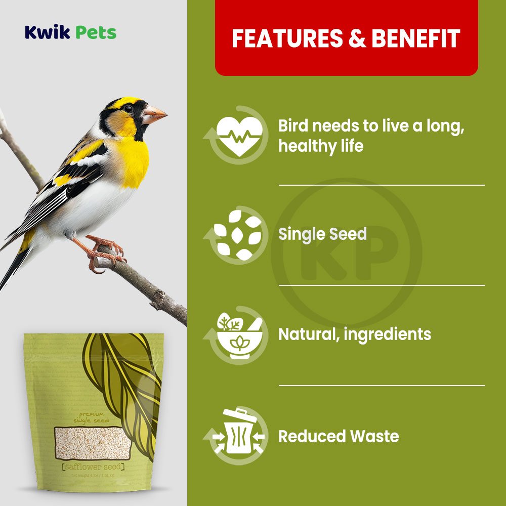 Volkman Seed Company Premium Single Seed Safflower Bird Food, 4-lb, Volkman