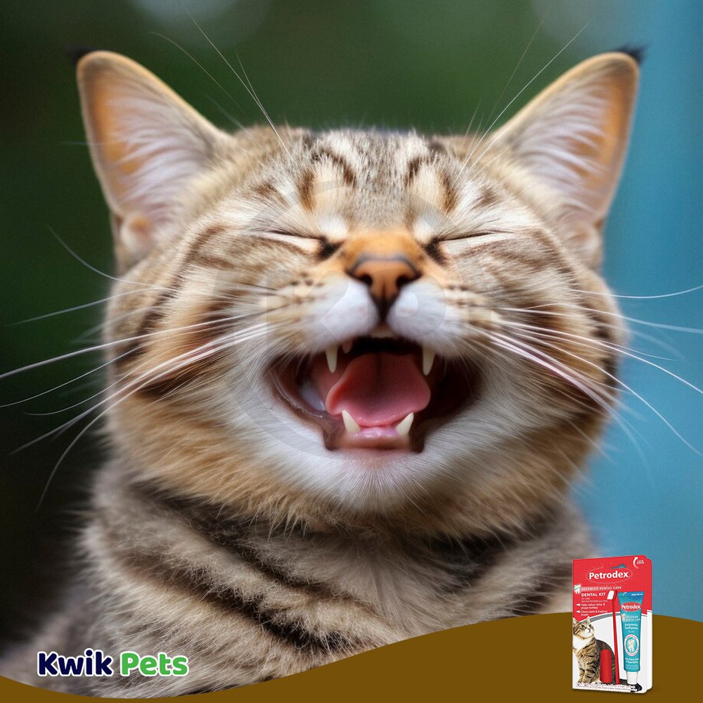 Cat - Sentry Petrodex Dental Care Kit for Cats with Malt Toothpaste 2.5-oz