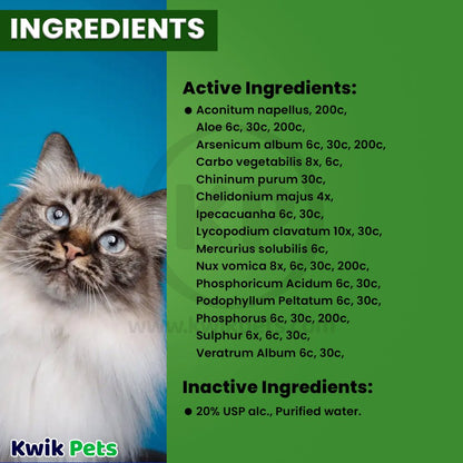 HomeoPet Feline Digestive Upsets 15ml