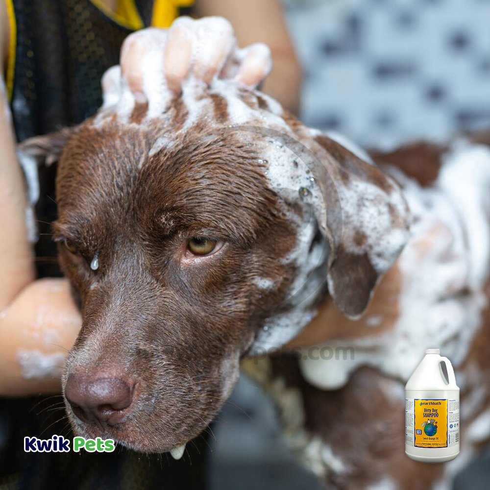 Earthbath Dirty Dog Shampoo, Sweet Orange Oil, 128oz, Earthbath