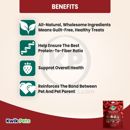 Oxbow Animal Health Simple Rewards Freeze Dried Strawberry Small Animal Treats 0.5 oz