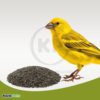 Volkman Seed Company Premium Single Seed Nyer Bird Food 4-lb, Volkman
