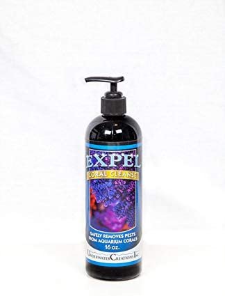 Expel Coral Cleanse 16oz