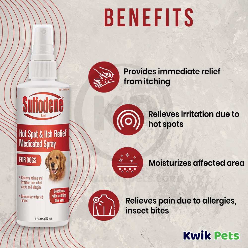 Benefits of Sulfodene Hot Spot & Itch Relief Medicated Spray for Dogs 8-oz
