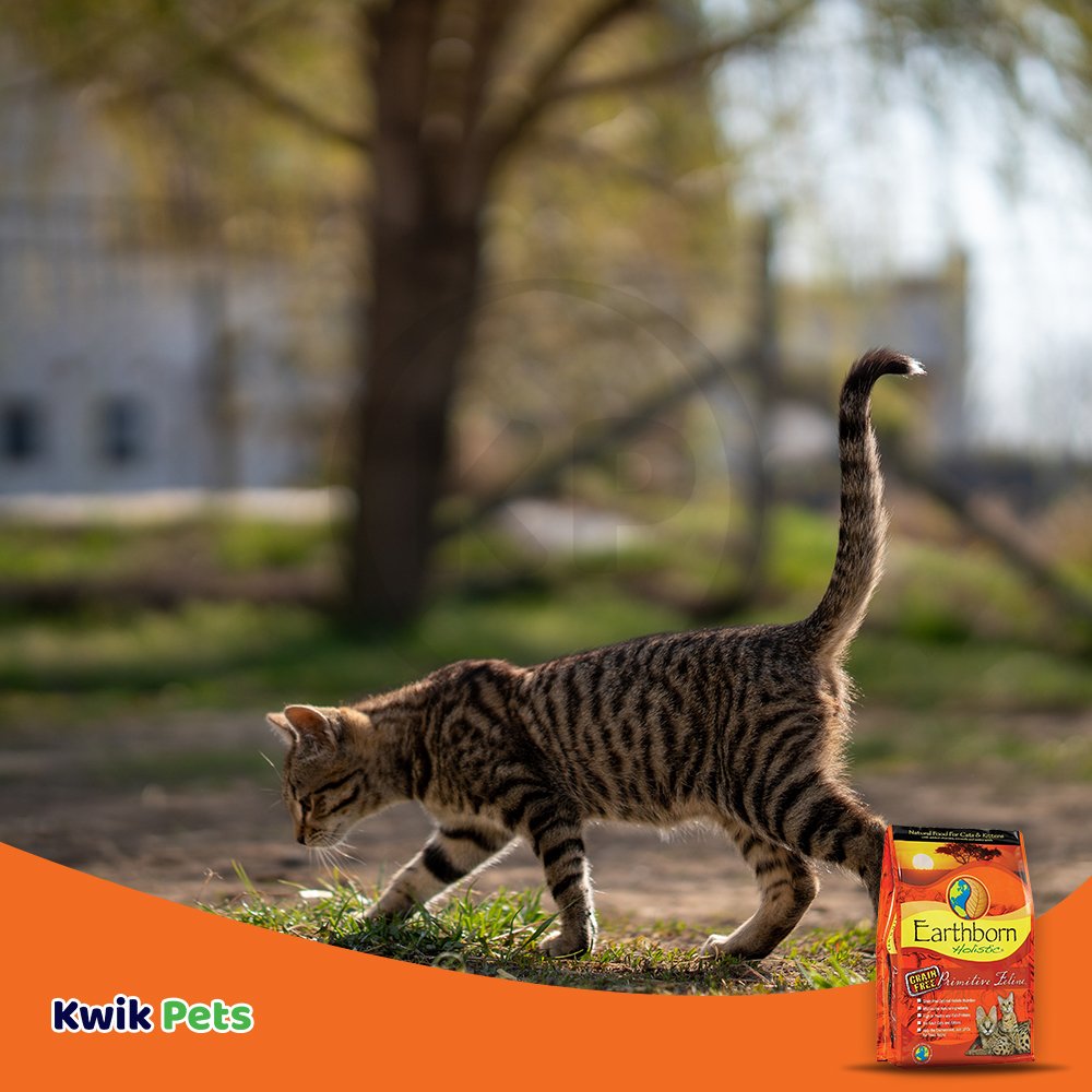 Earthborn Holistic Primitive Feline Grain Free Dry Cat Food, 14 lb, Earthborn