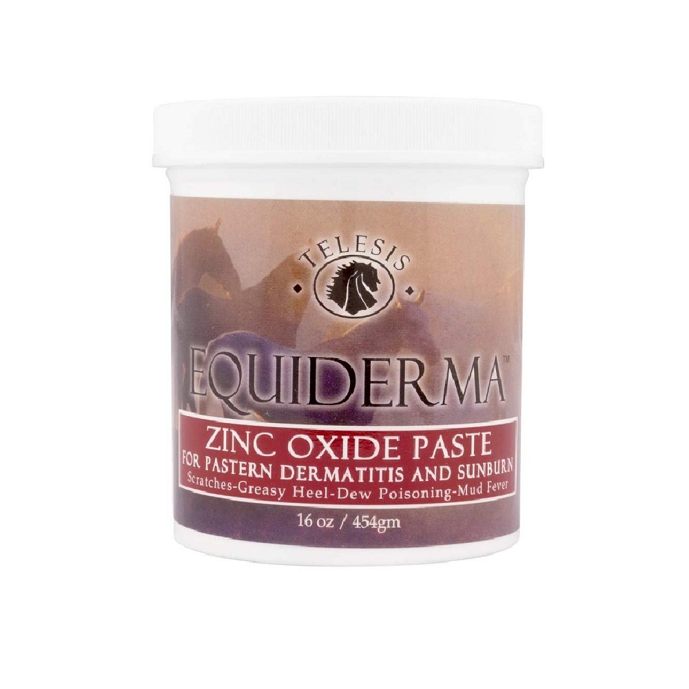 Equiderma Zinc Oxide Paste for Horses 16oz, Equiderma