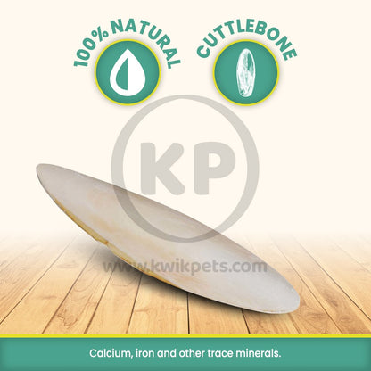 Prevue Pet Products Cuttlebone Natural, 6 in, LG, 1 pk