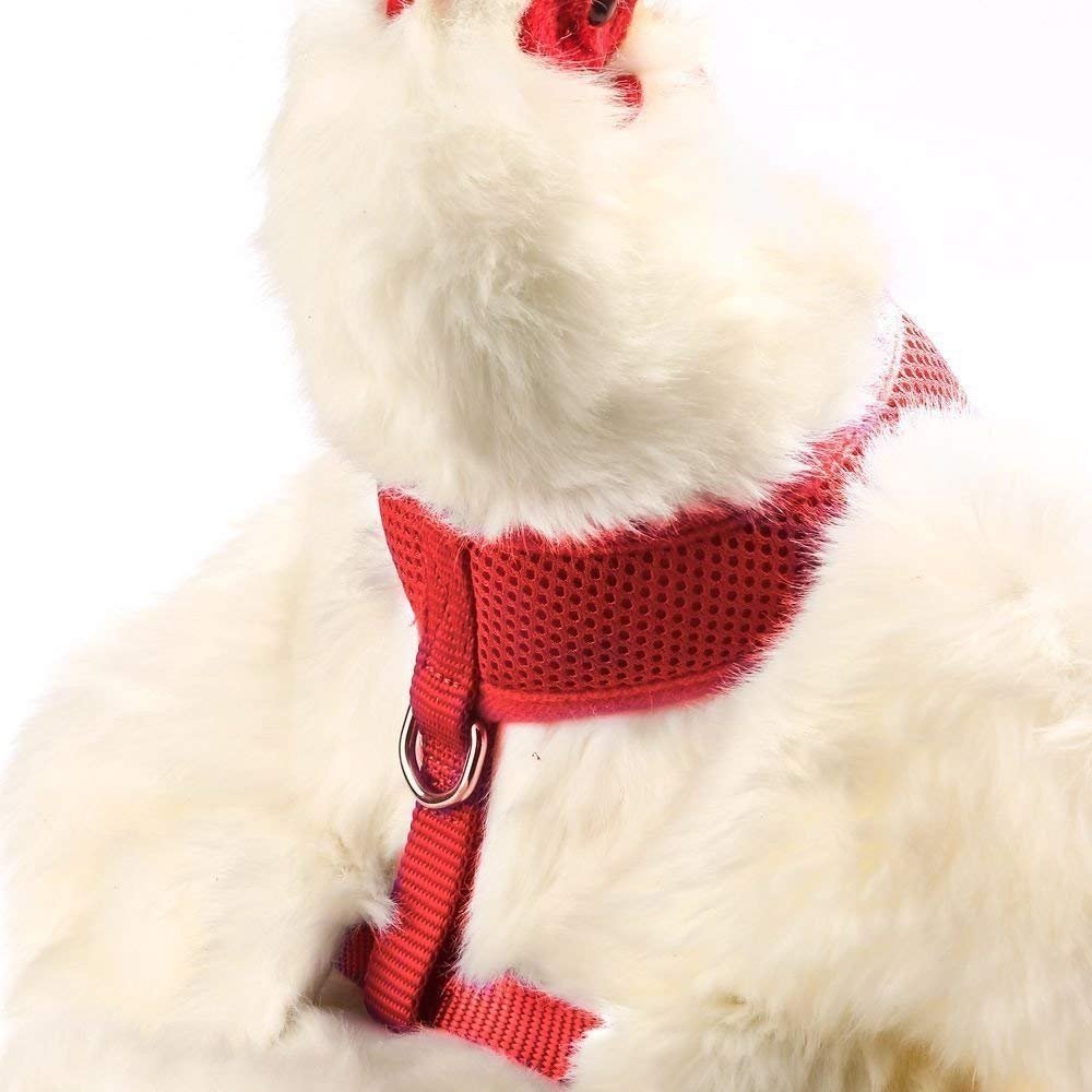 Valhoma Chicken Harness - Red Small, Valhoma