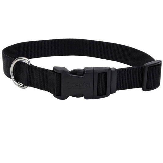 Coastal Adjustable Nylon Dog Collar with Plastic Buckle Black, 3/4 in. X 14-20 in.