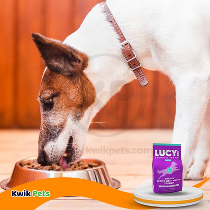 Lucy Pet Products Formula for Life L.I.D. Dry Dog Food Chicken  Brown Rice & Pumpkin, 4.5-lb