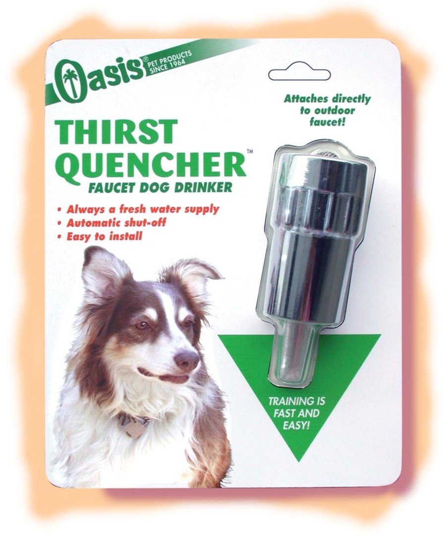 Oasis Thirst Quencher Faucet Dog Drinker Silver, Oasis