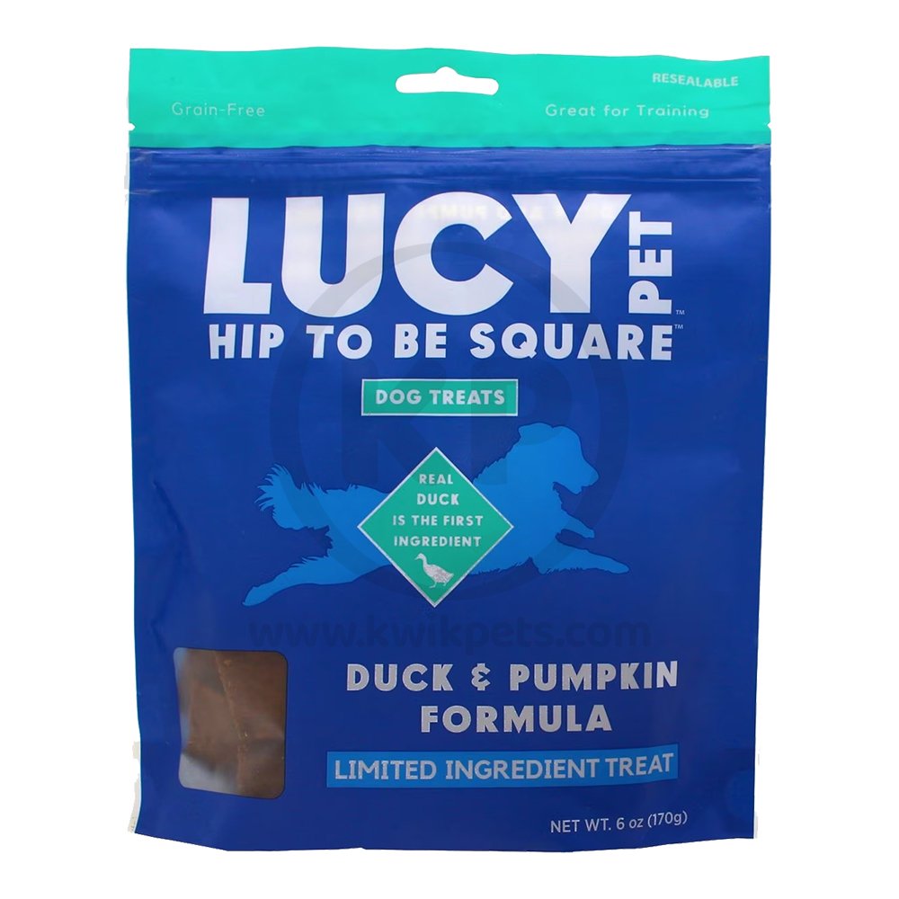 Lucy Pet Products Hip to Be Square Duck & Pumpkin Dog Treats 6-oz, Lucy Pet