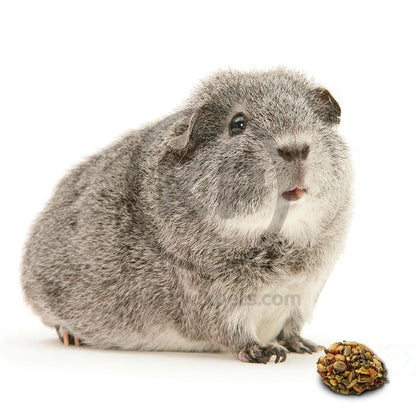 Kaytee Forti-Diet Pro Health Healthy Bit Rabbit/Guinea Pig 4.5-oz, Kaytee