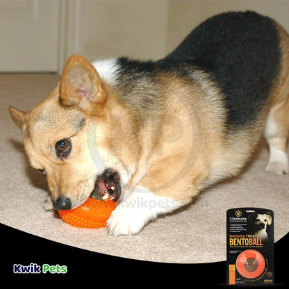 StarMark Everlasting Bento Ball Dog Toy Medium