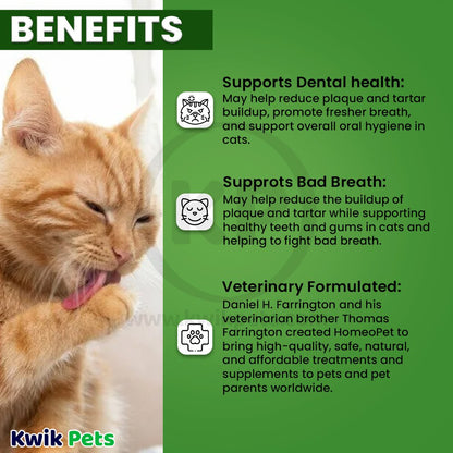 HomeoPet Feline Purr Dental for Cats, 0.51 Fl. oz