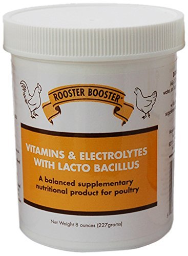 Rooster Booster Vitamins & Electrolytes with Lacto 8oz, Rooster Booster