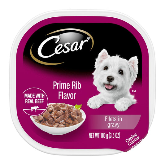 Cesar Filets in Gravy Adult Wet Dog Food Prime Rib, 3.5 oz, Cesar