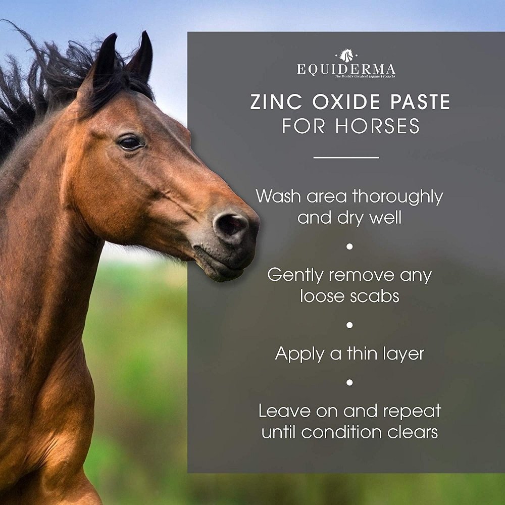 Equiderma Zinc Oxide Paste for Horses 16oz, Equiderma