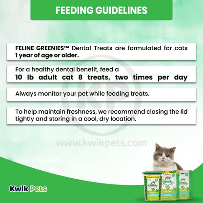 Greenies Feline Adult Cat Dental Treats Catnip, 4.6 oz, Greenies